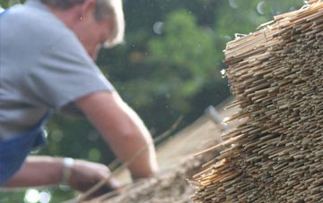 professional Wagbeach thatchers